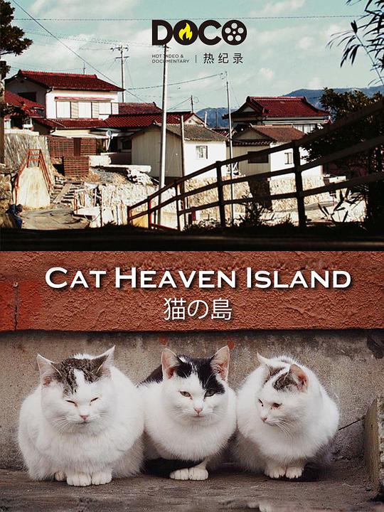 猫之岛